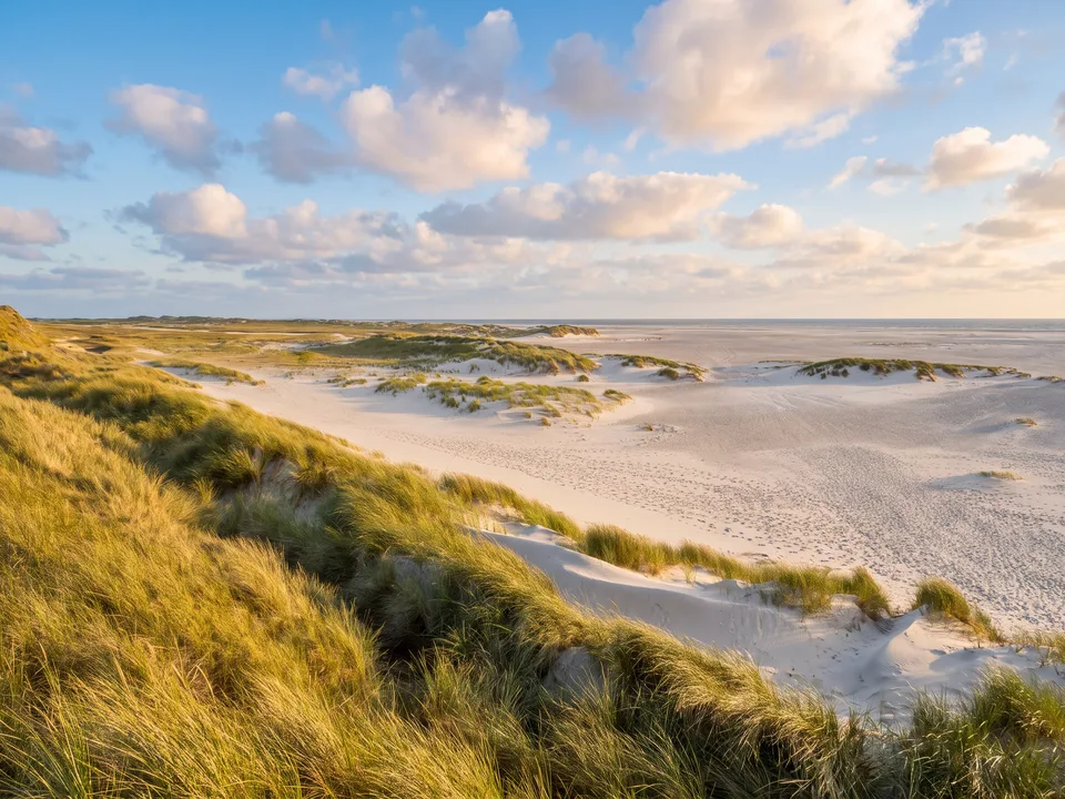 Blick von den Dünen mit Strandhafer auf den weiten weißen Kniepsand bei Norddorf