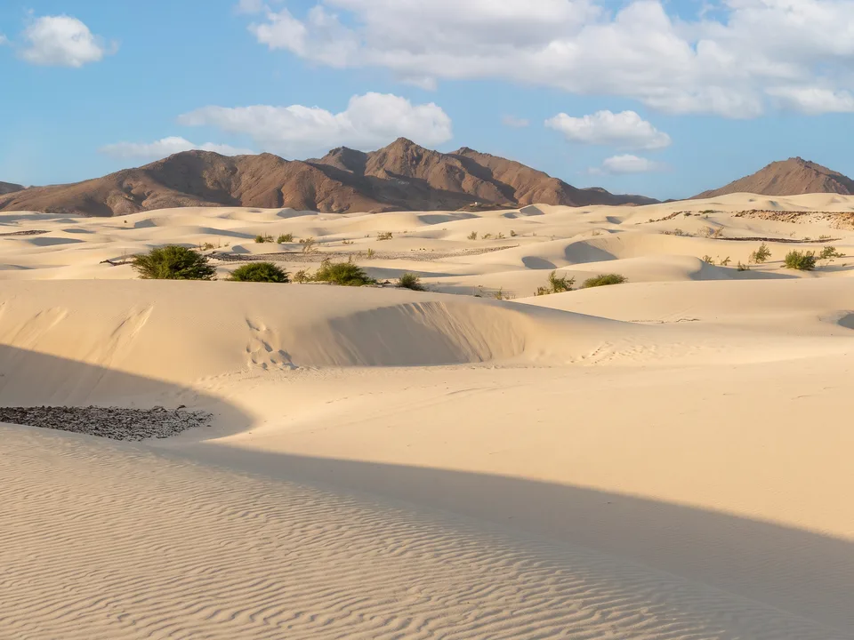Helle Sanddünen mit grünen Büschen im Deserto de Viana auf Boa Vista vor braunen Vulkanhügeln