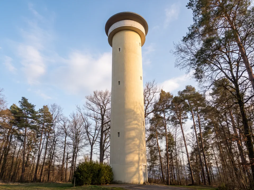 Schlanker heller Wasserturm mit runder Aussichtsplattform zwischen Kiefern und Laubbäumen auf der Waldburg unter blauem Himmel