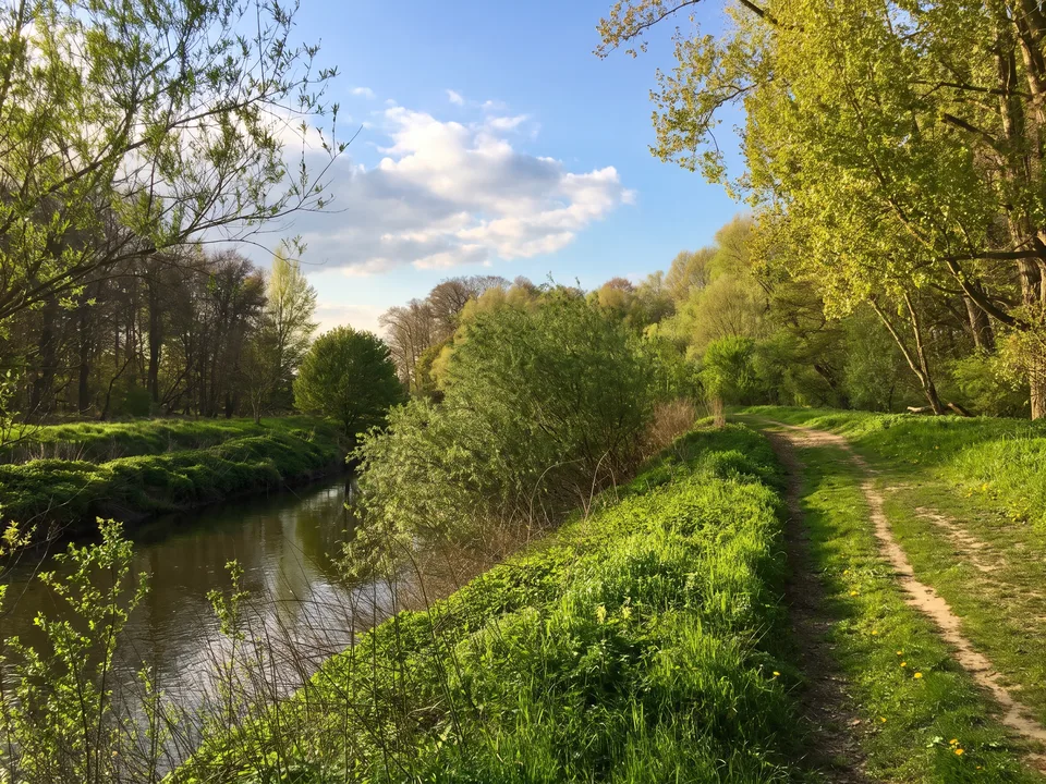 Die Ems in der Emsaue bei Greven mit grünem Deich, Fußweg und Bäumen am Ufer bei Sonnenschein