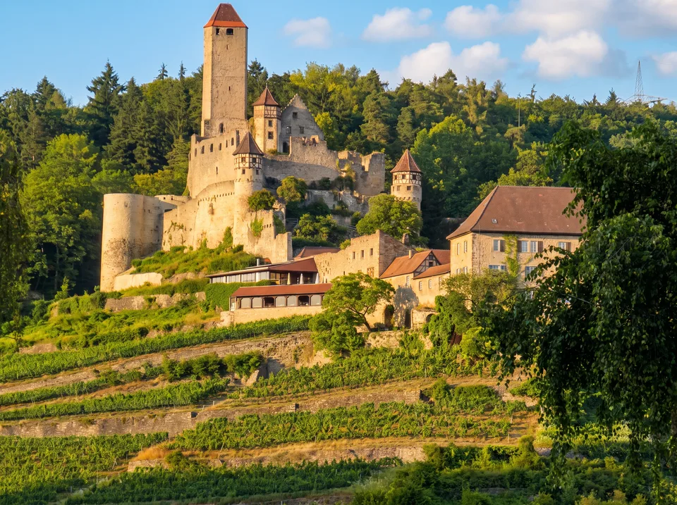 Burg Hornberg mit hohem Bergfried und Burgmauern über terrassierten Weinbergen bei Neckarzimmern