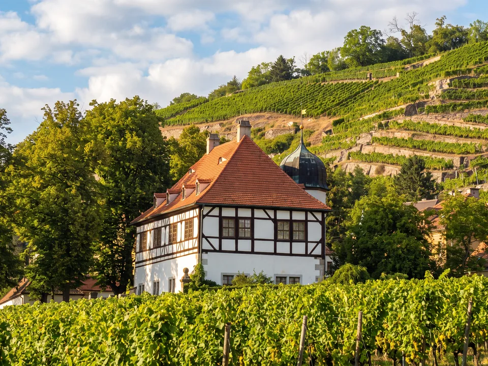 Das Berg- und Lusthaus Hoflößnitz in Radebeul mit Fachwerk-Obergeschoss, rotem Walmdach und Treppenturm vor terrassierten Weinbergen