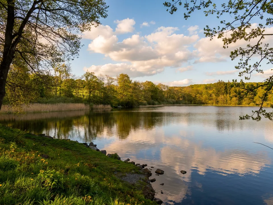 Dreifelder Weiher mit grünem Ufer, Bäumen und bewaldetem Gegenufer unter blauem Himmel mit Wolken