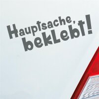 Autoaufkleber Hauptsache Beklebt!  Grau ca. 18x6cm