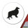 Aufkleber Collie Sheltie Silhouette 10cm Sticker