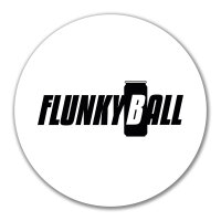 Aufkleber Flunkyball Bierdose 10cm Sticker