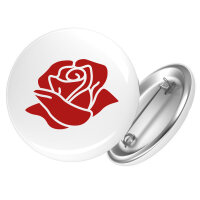 Button Rose Blüte