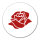 Aufkleber Rose Blüte 10cm Sticker