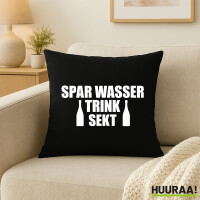 Kissen Spar Wasser Trink Sekt Sektflasche 40x40cm