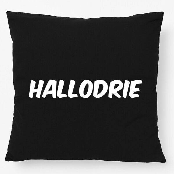 Kissen Hallodrie Schriftzug 40x40cm