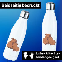 Trinkflasche Capybara Paar Comic 500ml Edelstahl...