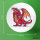 Button Drache Comic rund