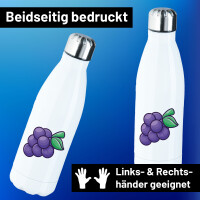 Trinkflasche Traube Comic 500ml Edelstahl Wasserflasche