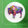 Button Bison Colorful