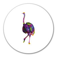 Aufkleber Vogel Strauß Colorful 10cm