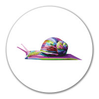 Aufkleber Schnecke Colorful 10cm rund