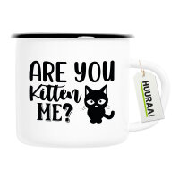 Emaille Tasse Are you kitten me Katze 300ml Vintage...
