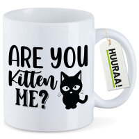 Kaffeetasse Are you kitten me Katze 330ml