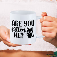 Kaffeetasse Are you kitten me Katze 330ml