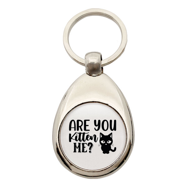 Schlüsselanhänger Are you kitten me Katze