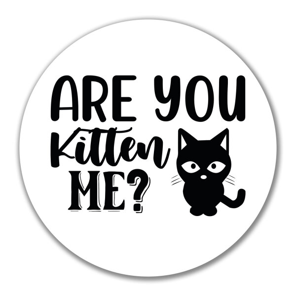 Aufkleber Are you kitten me Katze 10cm