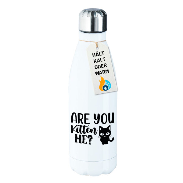 Trinkflasche Are you kitten me Katze 500ml Edelstahl Wasserflasche