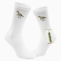 Unisex Socken Allosaurus Dinosaurier Größe 37/46 White Motiv Tennissocken