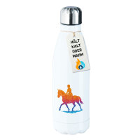Edelstahl-Trinkflasche Reiten bunte Silhouette 500ml Wasserflasche