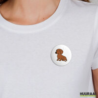 Button Kurzhaar Dackel Dachshund Comic rund