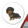 Aufkleber Rauhaar Dackel Sausage Dog Comic 10cm Sticker