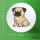 Button Mops Pug Comic rund