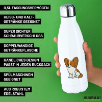 Edelstahl-Trinkflasche Papillon Comic Papi 500ml Wasserflasche