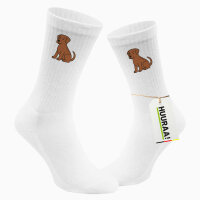 Unisex Socken Rhodesian Ridgeback Comic Ridgey...