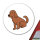 Aufkleber Irish Setter Comic Iri 10cm Sticker