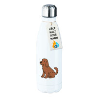 Edelstahl-Trinkflasche Irish Setter Comic Iri 500ml...