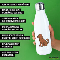 Edelstahl-Trinkflasche Irish Setter Comic Iri 500ml Wasserflasche