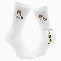 Unisex Socken Kooikerhondje Comic Kooikie...