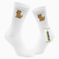Unisex Socken Norfolk Terrier Comic Norfi Größe 37/46 White Motiv Tennissocken