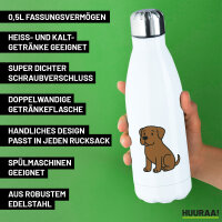 Edelstahl-Trinkflasche Boerboel Comic Boeri 500ml Wasserflasche