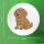 Button Lagotto Romagnolo Comic Lagotti rund