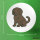 Button Portugiesischer Wasserhund Comic Porti rund