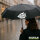 Regenschirm Peace Friedenstaube  98cm Schwarz
