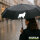 Regenschirm Collie Sheltie Silhouette 98cm Schwarz