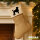 Weihnachtsstrumpf Pudel Silhouette Beige