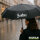 Regenschirm Bestie Besty 98cm Schwarz