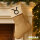 Weihnachtsstrumpf Stier Sternzeichen Zeichen Beige