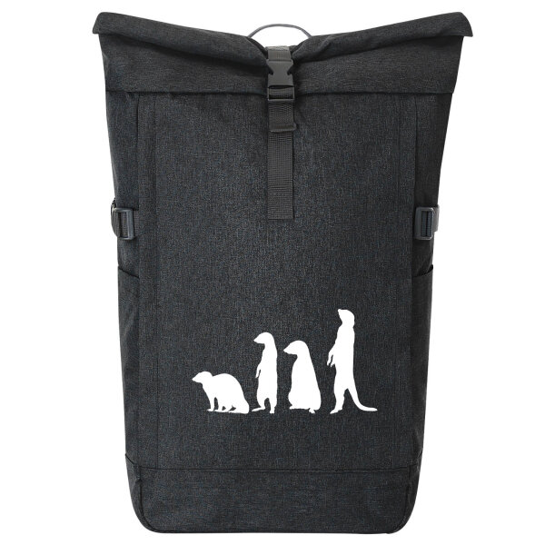 Kurierrucksack Erdmännchen Silhouette 30-44 Liter Black Melange