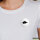 Button Stegosaurus Dinosaurier