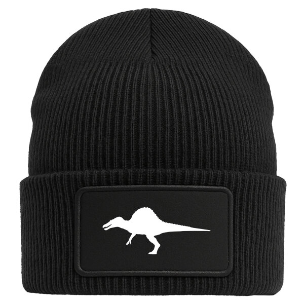 Beanie Spinosaurus Dinosaurier Black Mütze
