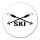 Aufkleber Ski Schriftzug 10cm Sticker